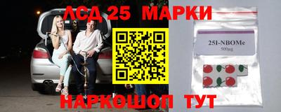 спайс Тара