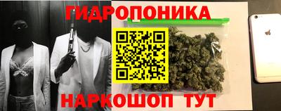 спайс Тара
