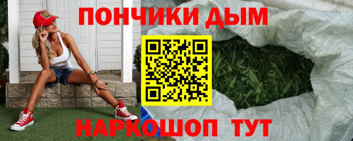 Конопля план  Вход с VPN  Канабис THC 21%  Новороссийск 